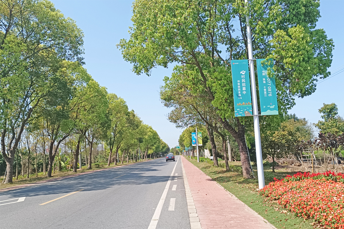 莲洲镇省道272绿化提升及管养服务
